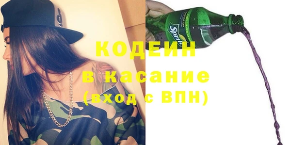 крисы Армянск