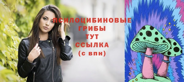 мет Аркадак