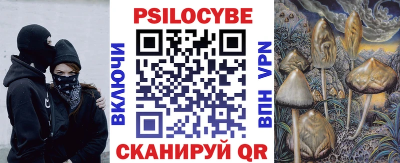 Псилоцибиновые грибы мицелий Сокол